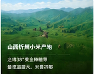 沁州黄小米：一粒小米的千年传承