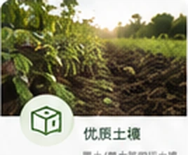优质土壤产地风貌