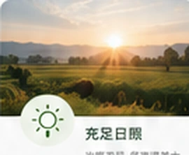 充足日照产地风貌